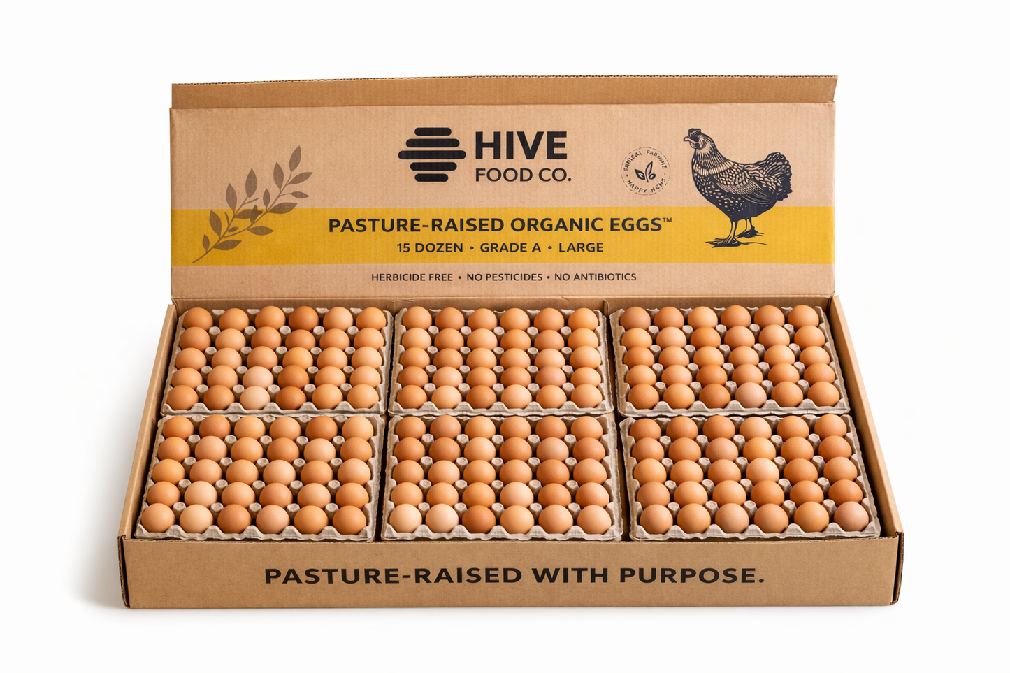 Farm Fresh Organic Eggs