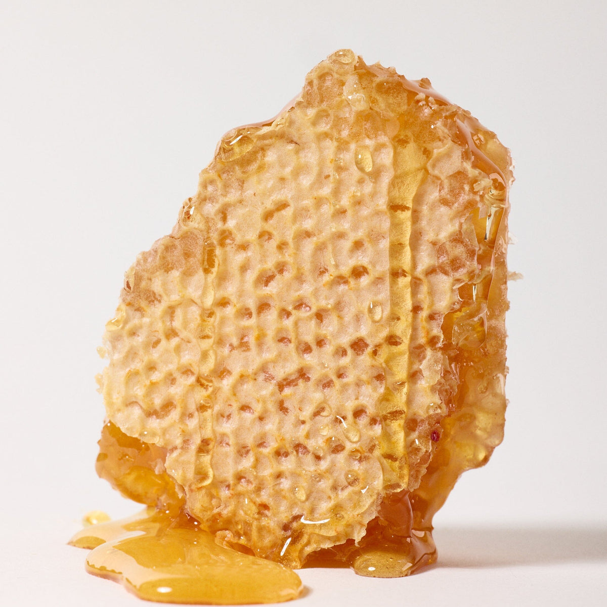 Raw Honey Comb