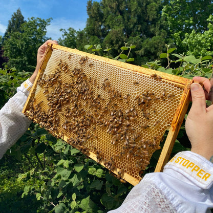 Local Texas Honey
